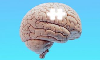 Nörolojide büyük keşif: Bazı insanların beyni neden daha kıvrımlı?