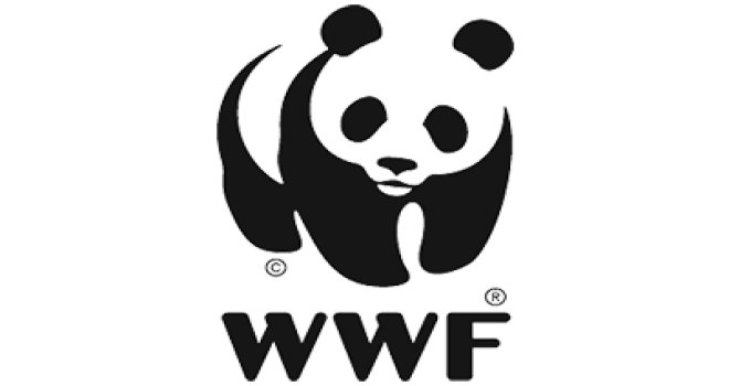 WWF: AKDENİZ ÜLKELERİ DENİZLERİNİ YETERİNCE KORUYAMIYOR