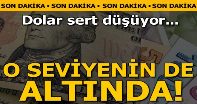 -Dolar kaç lira oldu?