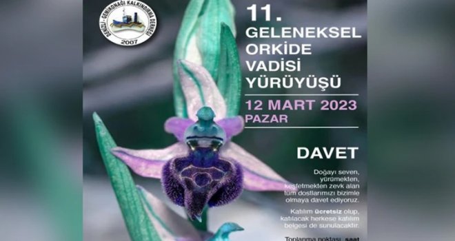 ’11.Geleneksel Orkide Vadisi Yürüyüşü’ yarın yapılıyor