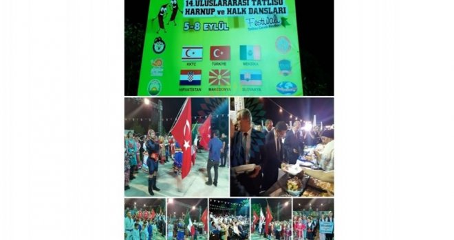 14.Uluslararası Tatlısu Harnup ve Halk Dansları Festivali başladı
