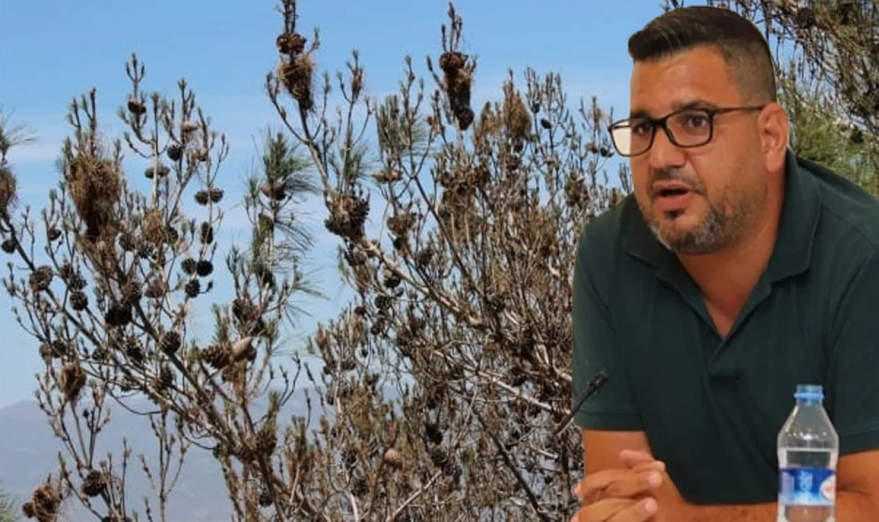 Hasan Sarpten: Beceriksiz ve basiretsiz yöneticiler ağaçları kurutuyor