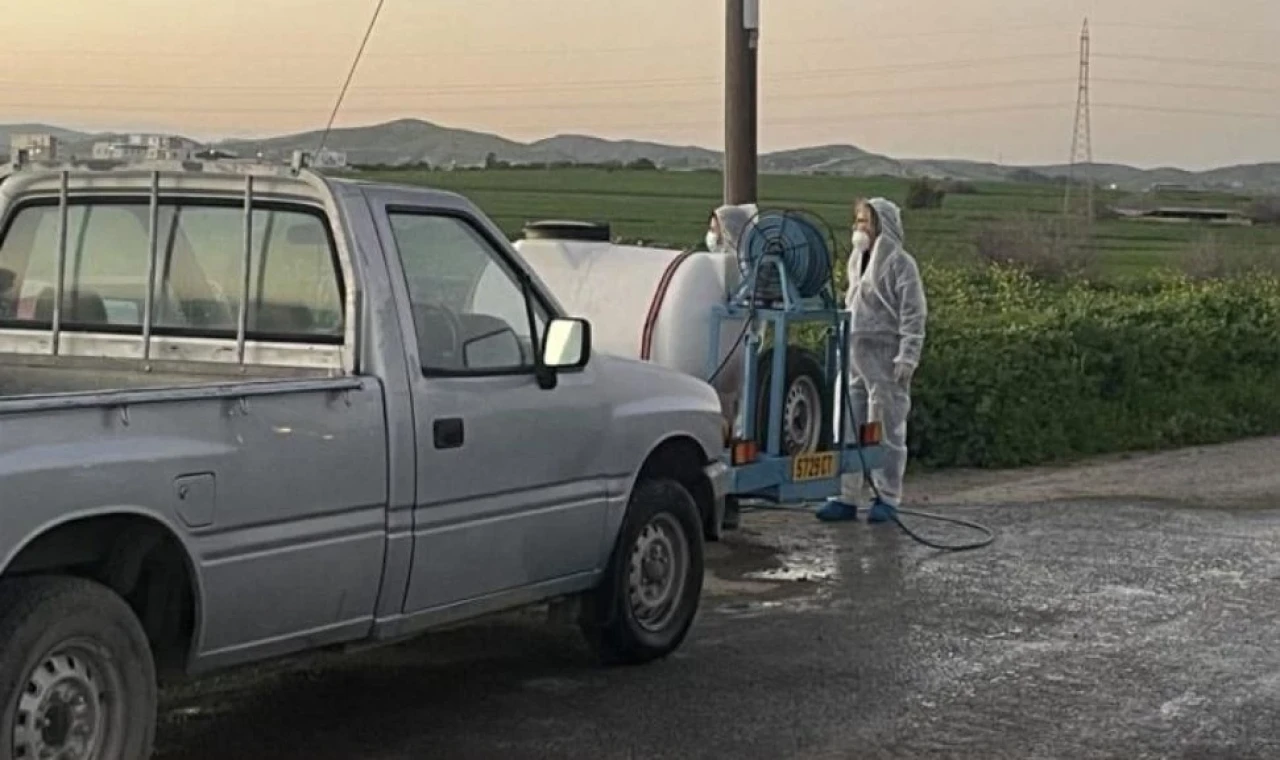 Güney Kıbrıs’ta şap alarmı büyüyor: Domuz çiftliğinde de ilk vaka kaydedildi