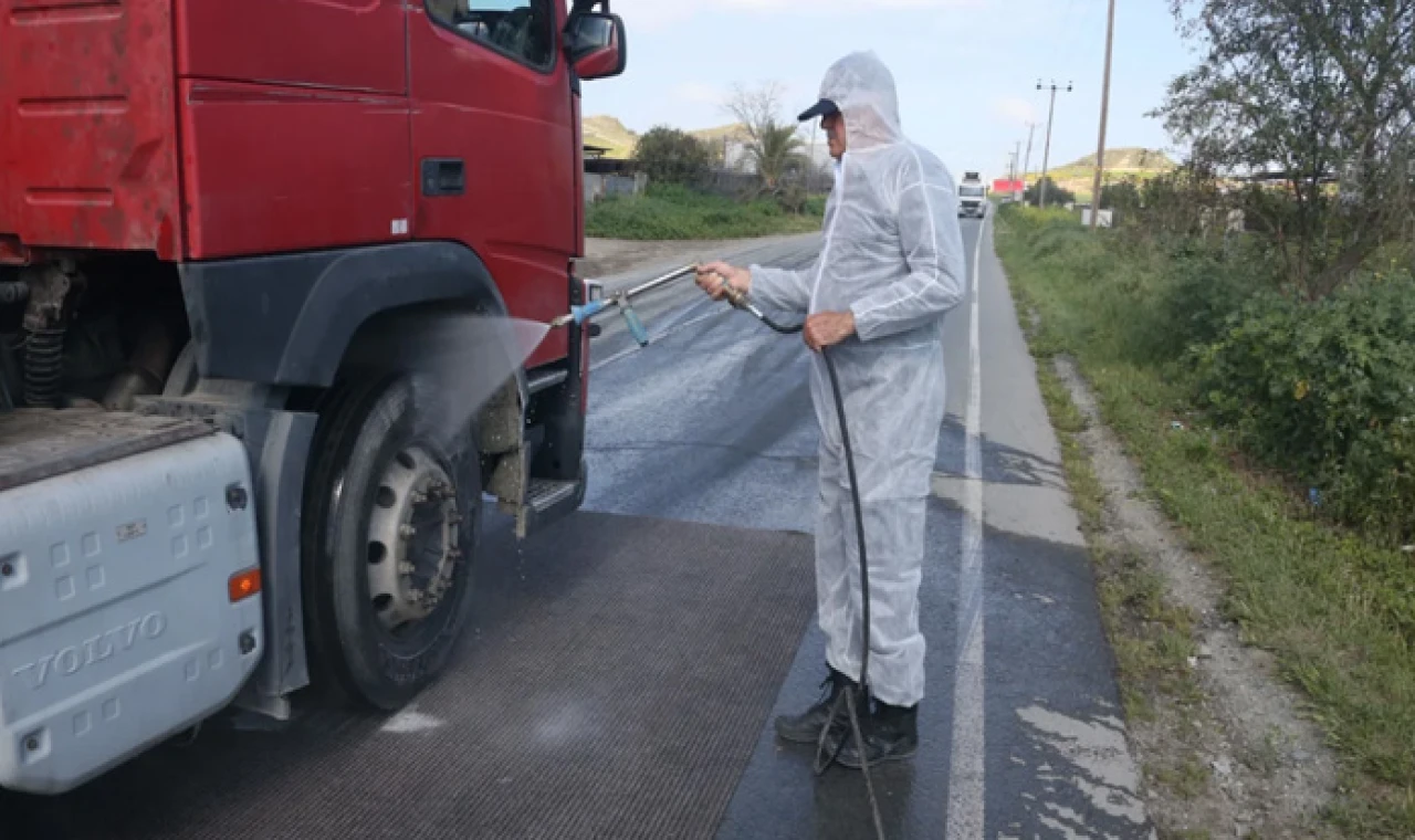 Güney Kıbrıs’ta şu ana kadar 30 bin 493 hayvan itlaf edildi