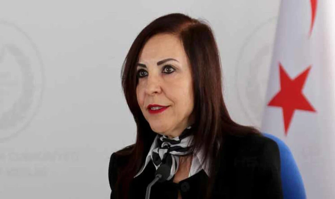 Emine Dizdarlı: Yerel ve milletvekilliği seçimlerinin aynı gün yapılması ciddi hatalara yol açabilir
