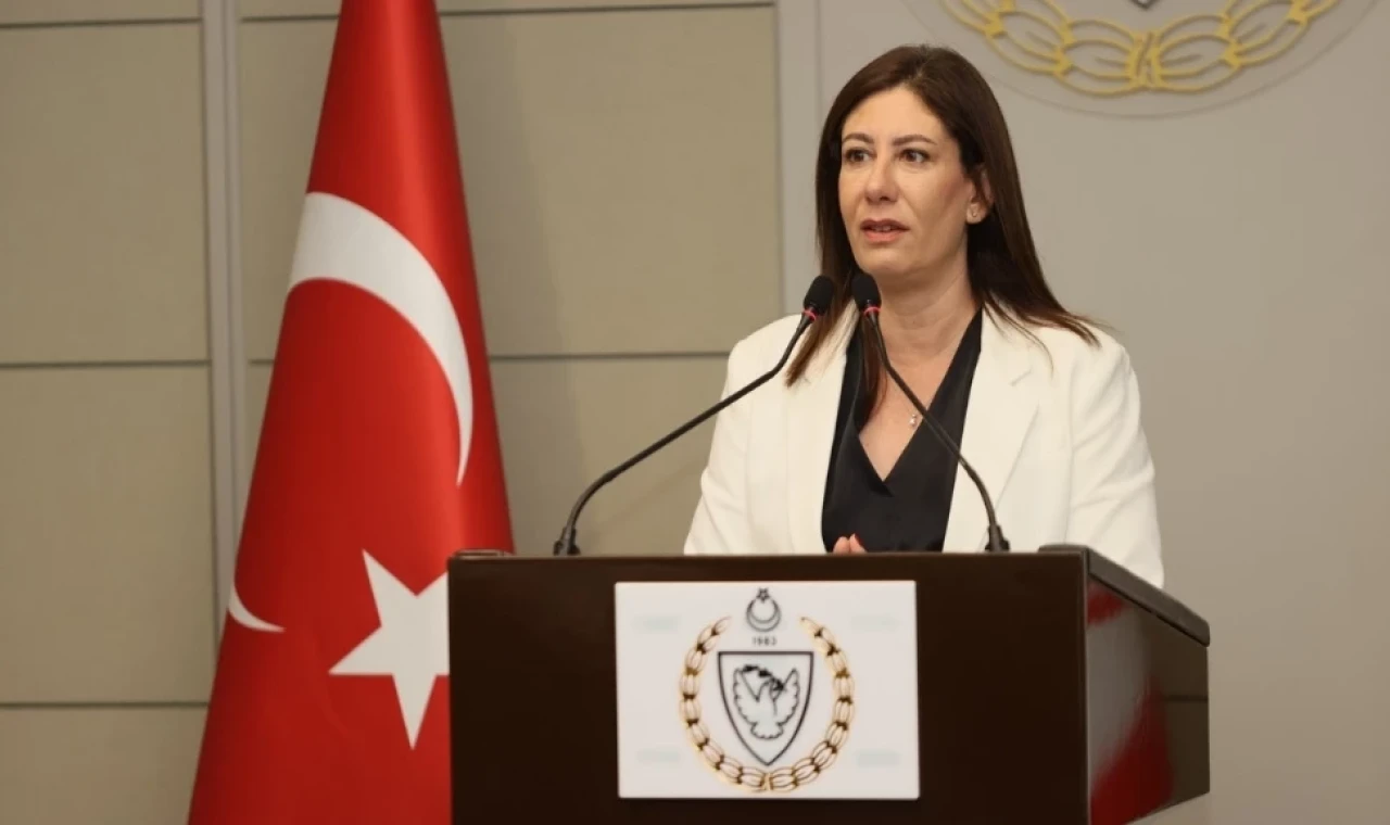 Sıla Usar İncirli: Kumyalı'daki olay tüm yönleriyle aydınlatılmalı