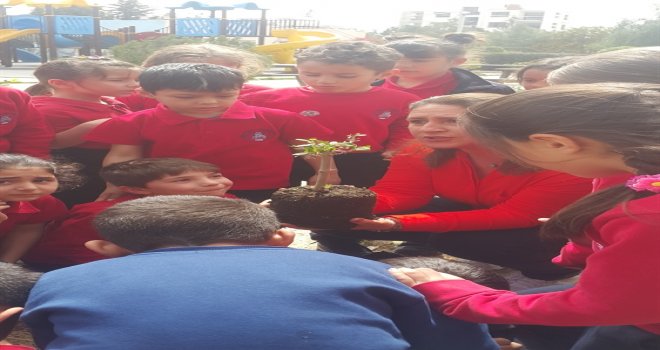 23 MART DÜNYA METEOROLOJİ GÜNÜ VE 21 MART DÜNYA ORMANCILIK GÜNÜ..