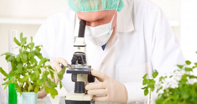 39 ithal ve 38 yerli üründe ikişer numunede limit üstü kalıntı tespit edildi