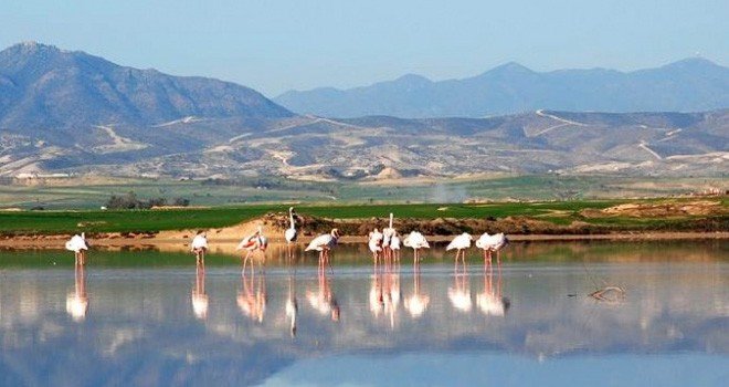 5 yıldızlı otel inşa edilmesi için izin başvurusu yapıldı