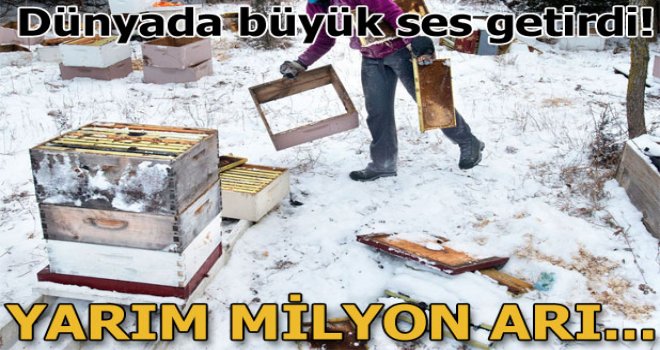 500 bin arının ölümüne yol açmaktan gözaltına alındı