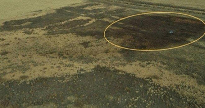 55 bin varil petrol tarlalara aktı