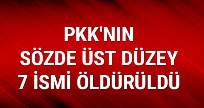 7'si sözde üst düzey 22 terörist etkisiz hale getirildi