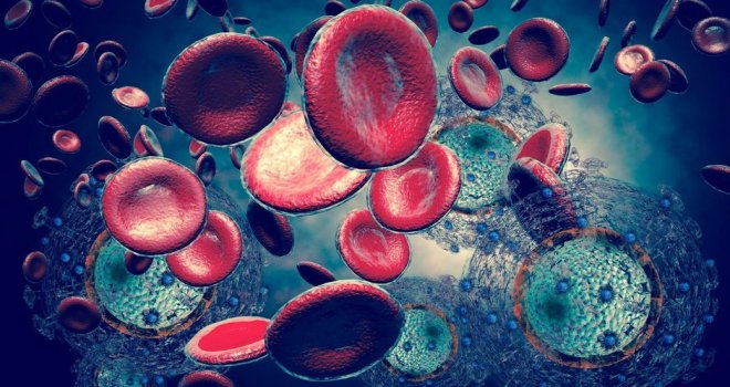 'AIDS’e son vermek için gerekli donanıma sahibiz'..