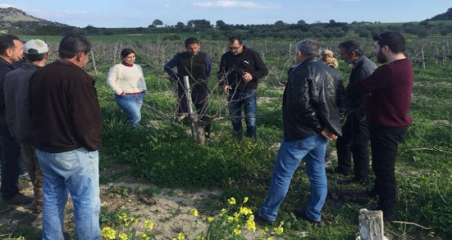 Alaniçi'nde üreticilere eğitim verilecek