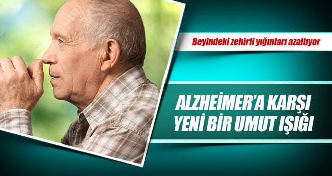 Alzheimer’a karşı yeni bir umut ışığı