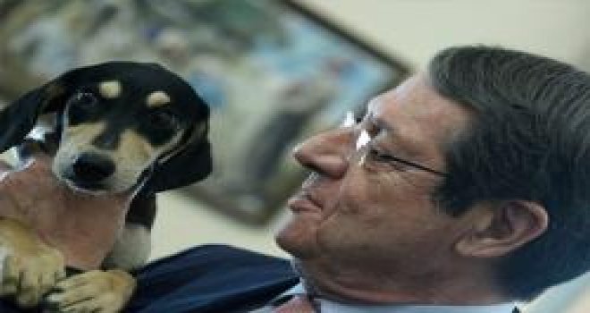 Anastasiadis'in yeni köpeği "Frid"