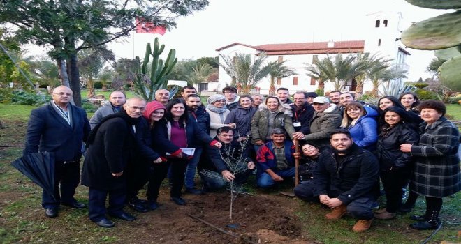 ARKEOLOJİ MÜZESİ’NİN AVLUSUNA ZEYTİN AĞACI...