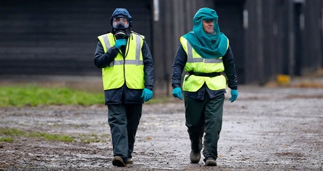 Artan kuş gribi vakaları nedeniyle İngiltere genelinde ''Önleme Bölgesi'' ilan edildi