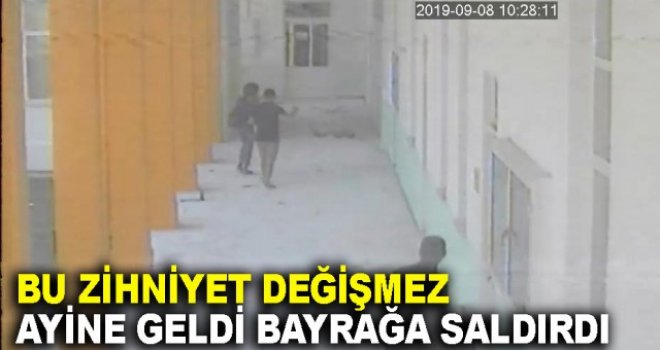 AYİNE GELDİ BAYRAĞA SALDIRIP FOTOĞRAFLARI SÖKTÜ