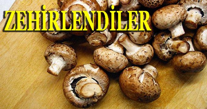 AYNI AİLEDEN 7 KİŞİ MANTARDAN ZEHİRLENDİ