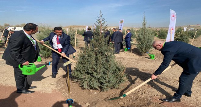 BAKAN OĞUZ ANKARA’DA FİDAN DİKİM ETKİNLİĞİNE KATILDI