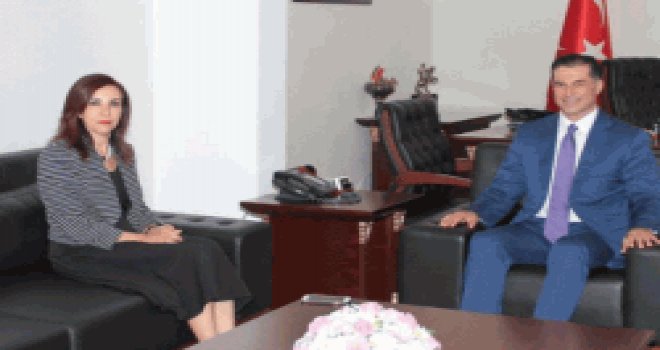 Başbakan Özgürgün Ombudsman Dizdarlı’yı kabul etti