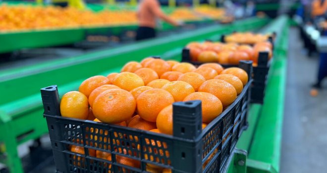BASS: Narenciye üreticisi ve bölge halkı tehlike altında