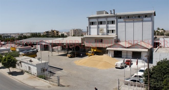 BİNBOĞA YEM FABRİKASI HAYVAN YEMLERİNDE İNDİRİME GİTTİ