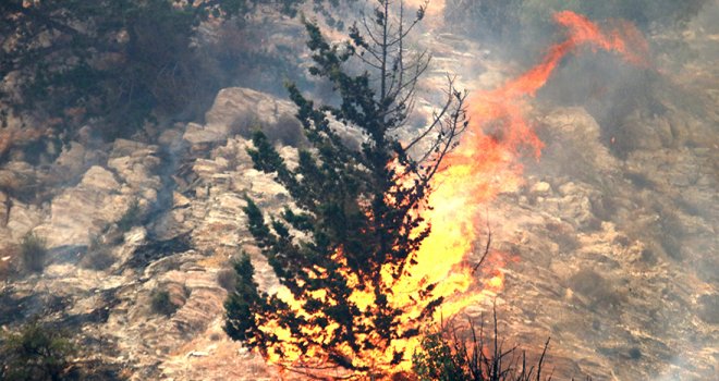 Bir haftada 9 yangın medyana geldi