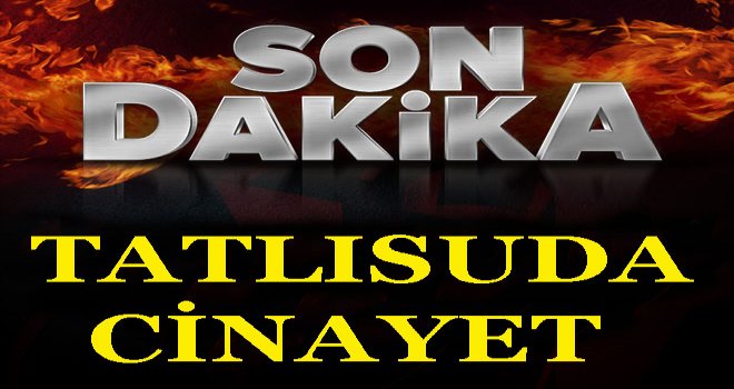 BİR KADIN CİNAYETİ DAHA