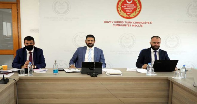 Borç İlişkilerinde Uygulanacak Kuralları Düzenleyen Yasa Önerisi, Komite'de görüşüldü