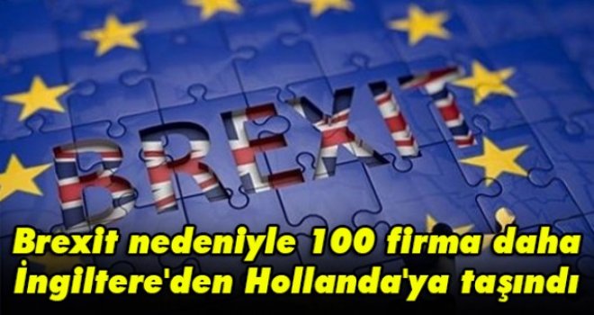 Brexit nedeniyle 100 firma daha İngiltere'den Hollanda'ya taşındı