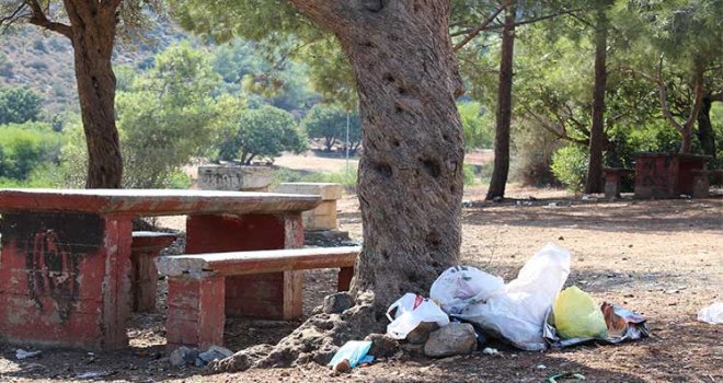 Bu insanlar pisliği seviyor