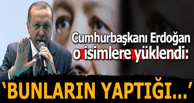 Bunların yaptığı fikir soytarılığı