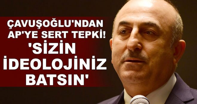 Çavuşoğlu'ndan AP'ye sert tepki!