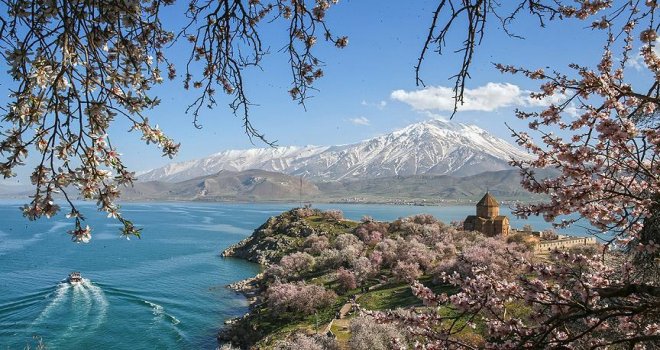 Çiçeklere bürünen Akdamar Adası'na ziyaretçi akını..