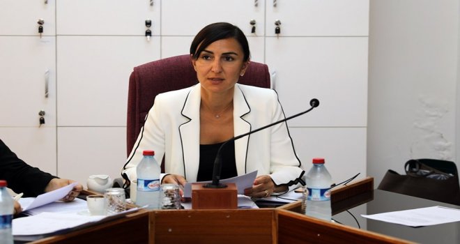 Cumhuriyet Meclisi, İdari, Kamu ve Sağlık İşleri Komitesi, Jale Refik Rogers Başkanlığında bugün toplandı