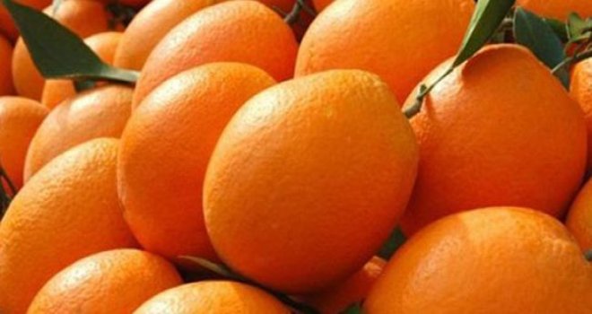 CYPFRUVEX: “VALENSİYA İÇİN SON TARİH 21 MAYIS..”