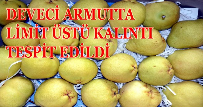 DEVECİ ARMUTTA LİMİT ÜSTÜ KALINTI TESPİT EDİLDİ