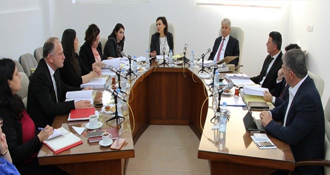Dilekçe ve Ombudsman Komitesi toplandı.