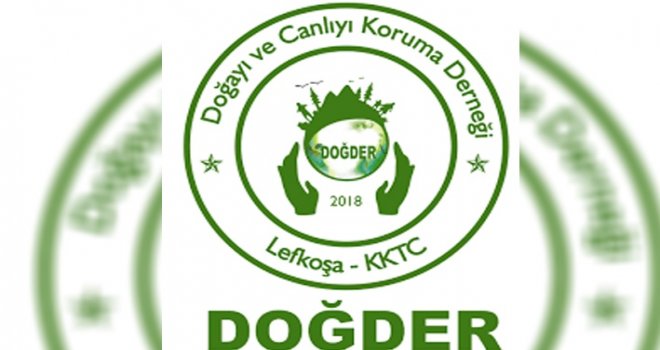 Doğayı, bitkileri ve milyonlarca canlıyı yok ettik