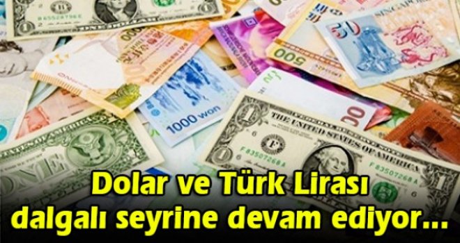 Dolar ve Türk Lirası dalgalı seyrine devam ediyor...