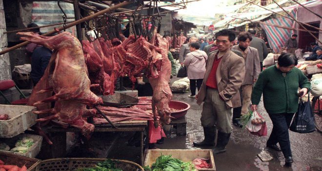 DSÖ’den coronanın çıkışıyla ilgili yeni açıklama