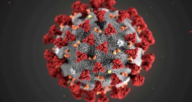 Dünya genelinde Covid-19 bulaşan kişi sayısı 2 milyon 407 bini aştı