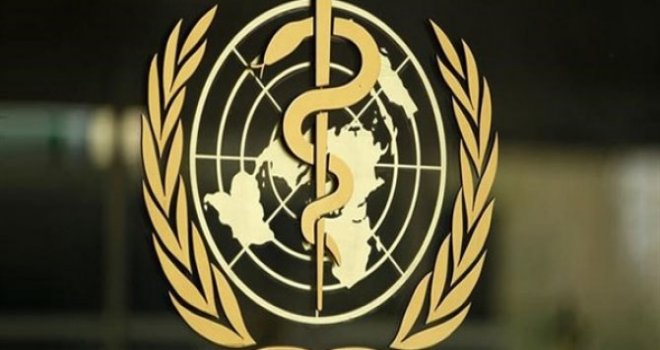 Dünya Sağlık Örgütü: 2019’da kayıtlara geçen zatürre vakaları yeniden incelensin