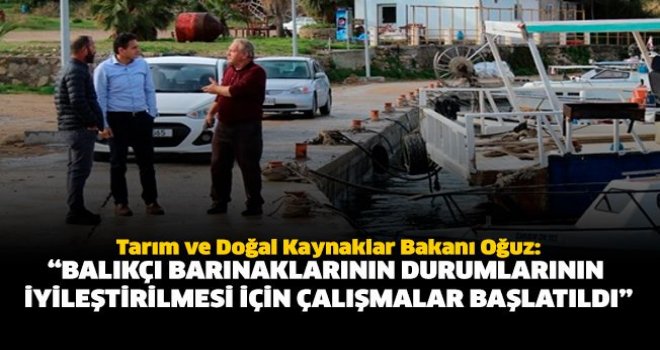 Dursun  Oğuz Kaplıca balıkçı barınağında incelemede bulundu
