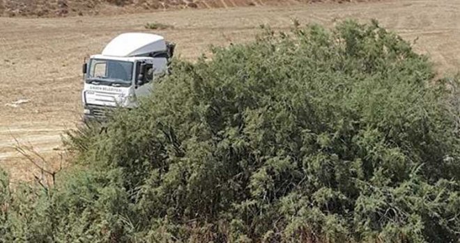 Duyarsız vatandaşa suçüstü