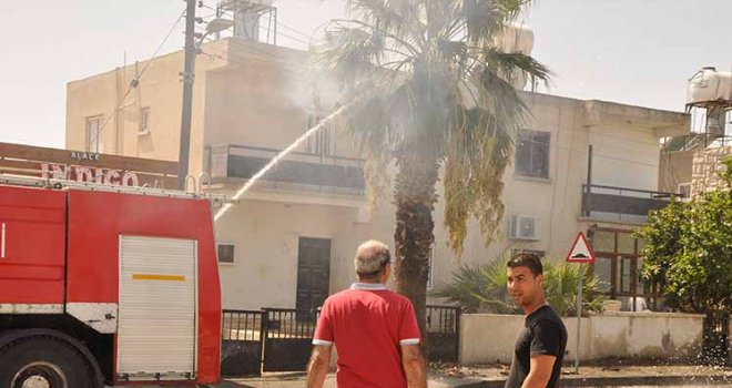Elektrik kontağı ağacı tutuşturdu