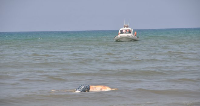 Erenköy'ün yakınlarında kimliği belirsiz ceset bulundu