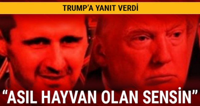 Esed cephesinden Trump'a 'hayvan' yanıtı